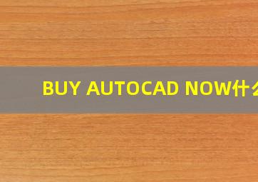 BUY AUTOCAD NOW什么意思